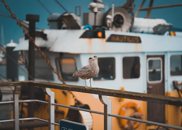 公寓 Kobana Kabana